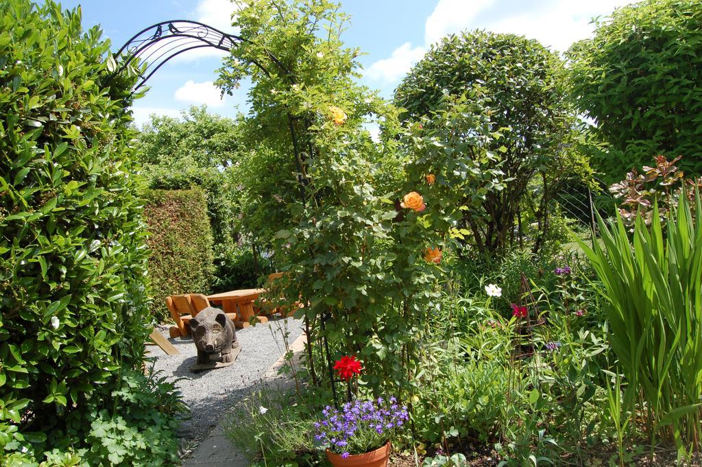 Hotel-Ferienwohnungen Cafe Maarblick Schalkenmehren Zewnętrze zdjęcie
